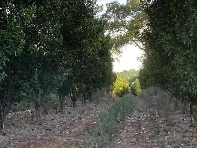 Fazenda venda em Região Geográfica Imediata de Januária, Januária