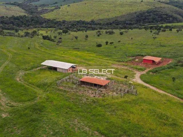 Fazenda venda em Região Geográfica Imediata de Januária, Januária