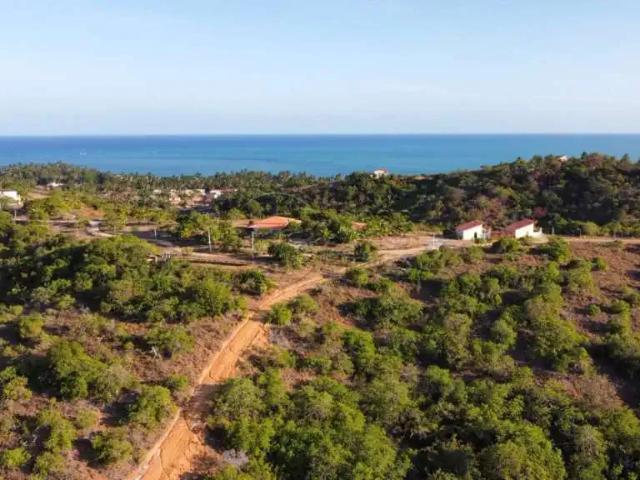 Fazenda venda em Região Geográfica Imediata de Porto Calvo-São Luís do Quitunde, Japaratinga