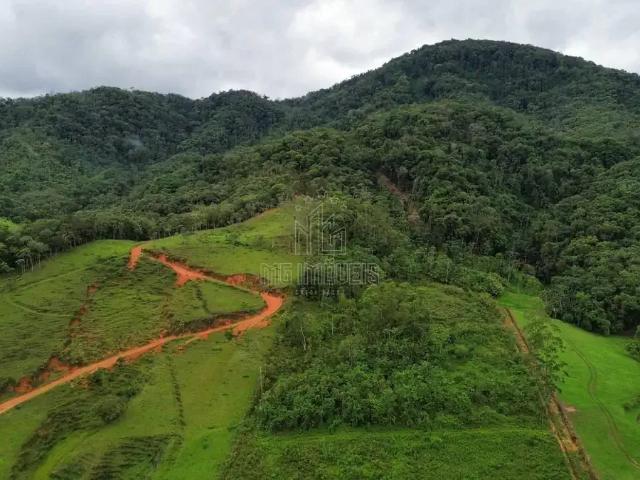 Fazenda venda em Região Geográfica Imediata de Joinville, Jaraguá do Sul