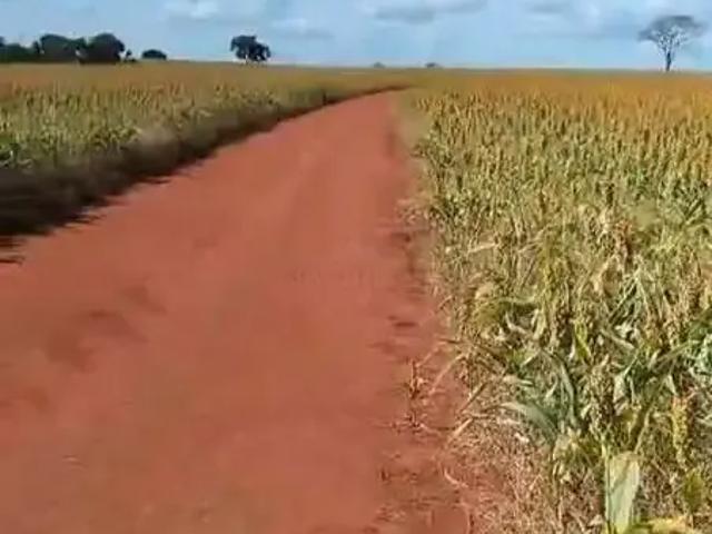 Fazenda venda em Região Geográfica Imediata de Anápolis, Jaraguá