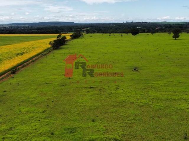 Sítio e chácara venda em Região Geográfica Imediata de Luziânia, Região Integrada de Desenvolvimento do Distrito Federal e Entorno