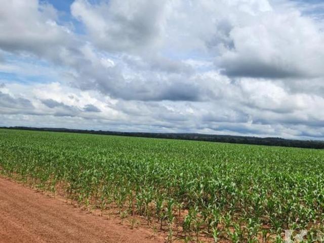 Sítio e chácara venda em Região Geográfica Imediata de Sinop, Sinop