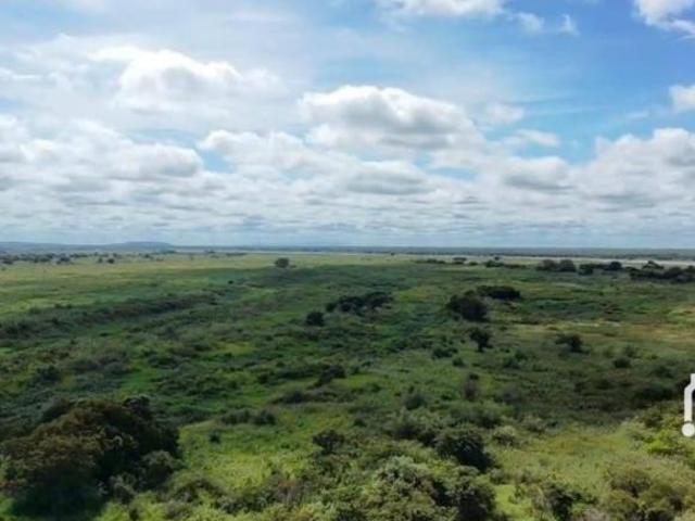 Sítio e chácara venda em Região Geográfica Imediata de Corumbá, Corumba