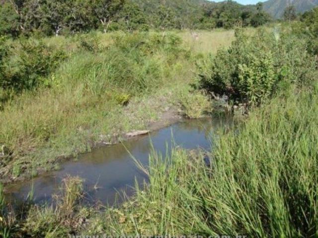 Sítio e chácara venda em Região Geográfica Imediata de Goiânia, Goiânia