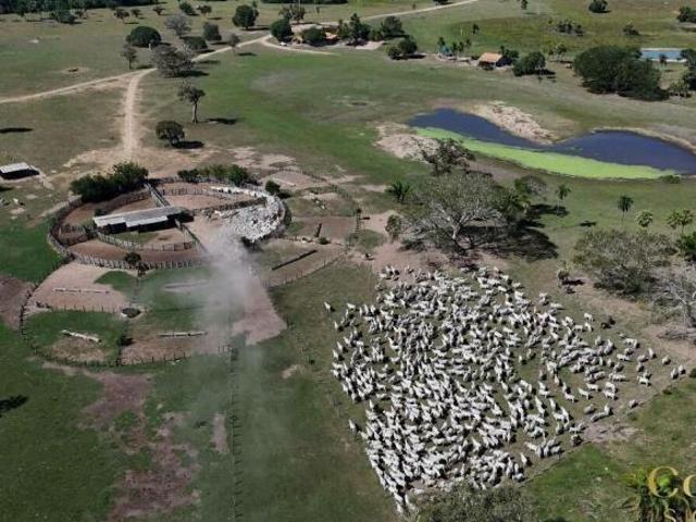 Sítio e chácara venda em Jardim Itália, Cuiabá