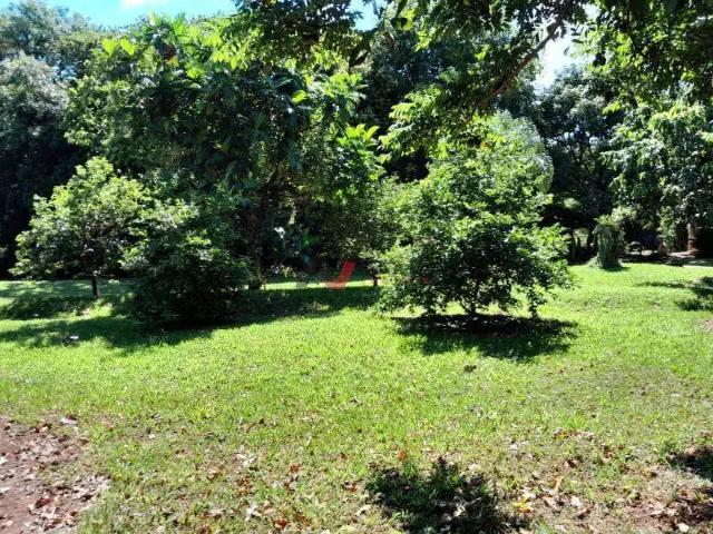 Fazenda venda em Região Imediata de Ribeirão Preto, Região Metropolitana de Ribeirão Preto