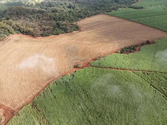 Fazenda venda em Região Imediata de Ribeirão Preto, Região Metropolitana de Ribeirão Preto