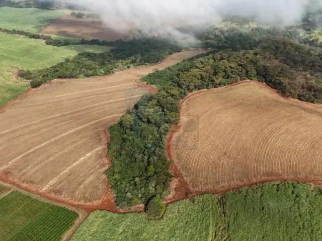 Fazenda venda em Região Imediata de Ribeirão Preto, Região Metropolitana de Ribeirão Preto