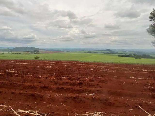 Fazenda venda em Região Imediata de Ribeirão Preto, Região Metropolitana de Ribeirão Preto