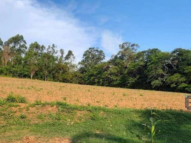 Fazenda venda em Jarinu