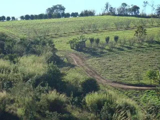 Fazenda venda em Região Imediata de Jundiaí, Jarinu