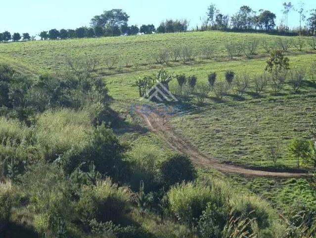 Fazenda venda em Jarinu