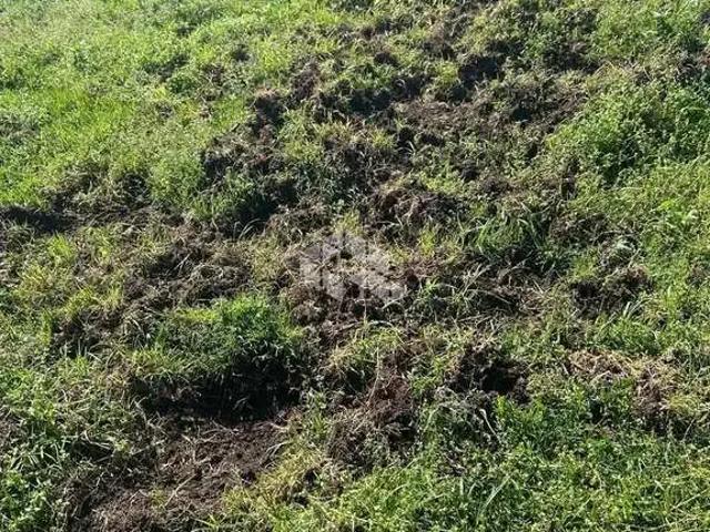 Fazenda venda em Região Geográfica Imediata de Novo Hamburgo - São Leopoldo, Região Metropolitana de Porto Alegre