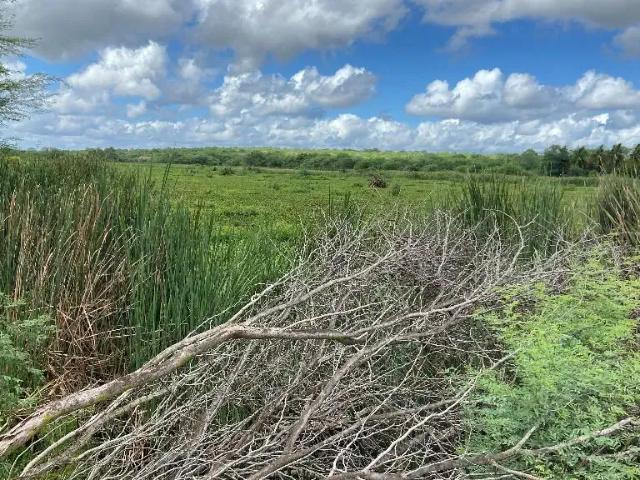 Fazenda venda em Região Geográfica Imediata de Serra Talhada, Jatobá
