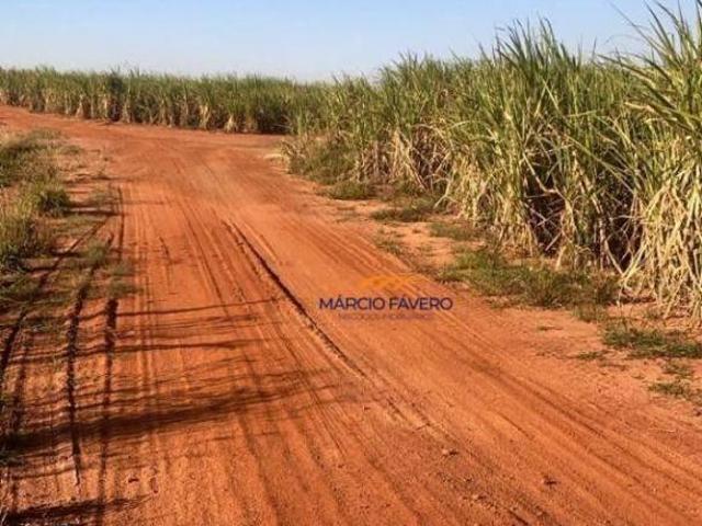 Sítio e chácara venda em Região Imediata de Jaú, Jaú