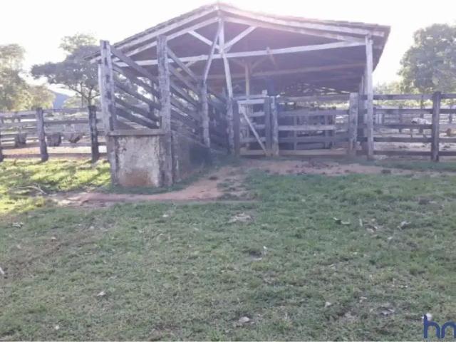 Fazenda venda em Região Geográfica Imediata de Gurupi, Jaú do Tocantins