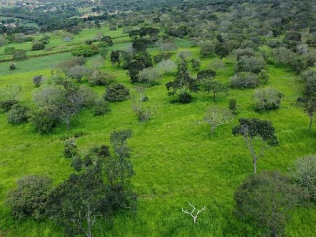 Sítio e chácara venda em Região Geográfica Imediata de Sete Lagoas, Funilândia