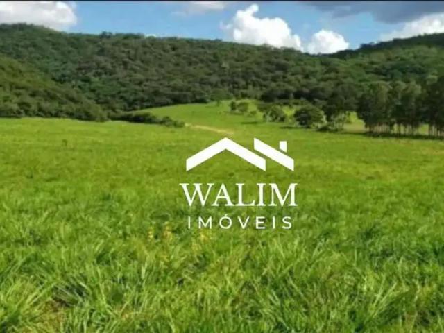 Fazenda venda em Região Geográfica Imediata de Sete Lagoas, Jequitibá
