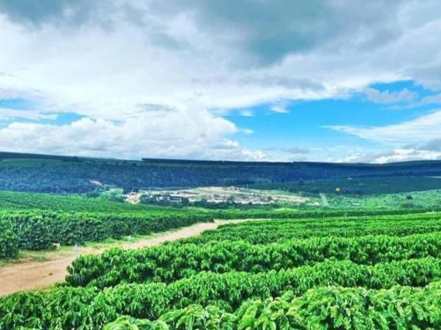 Sítio e chácara venda em Jequitinhonha, Região Sudeste