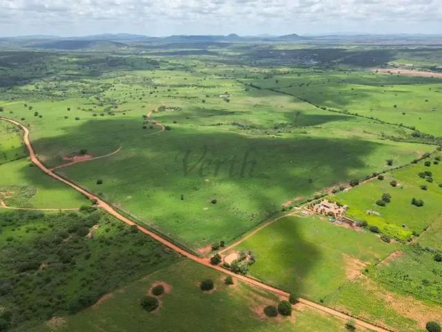 Fazenda venda em Jeremoabo, Região Nordeste
