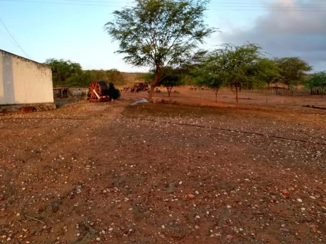 Fazenda venda em Jeremoabo, Região Nordeste