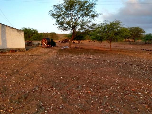 Fazenda venda em Centro, Jeremoabo