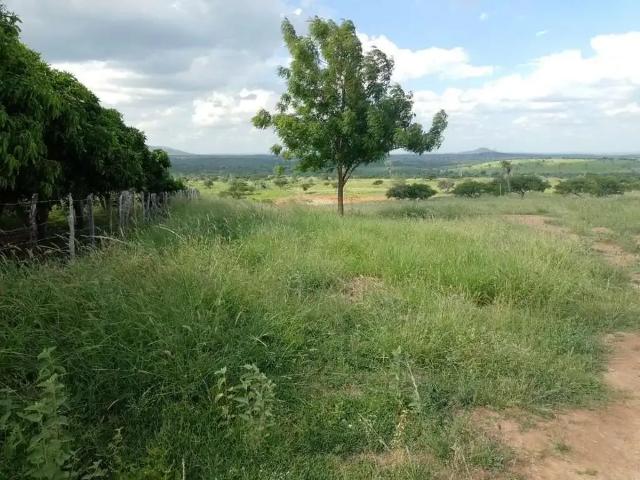 Fazenda venda em Jiquiriçá, Região Nordeste