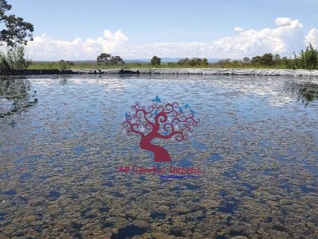 Sítio e chácara venda em Região Geográfica Imediata de Águas Lindas de Goiás, Região Integrada de Desenvolvimento do Distrito Federal e Entorno