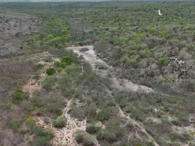 Fazenda venda em João Câmara, Região Nordeste