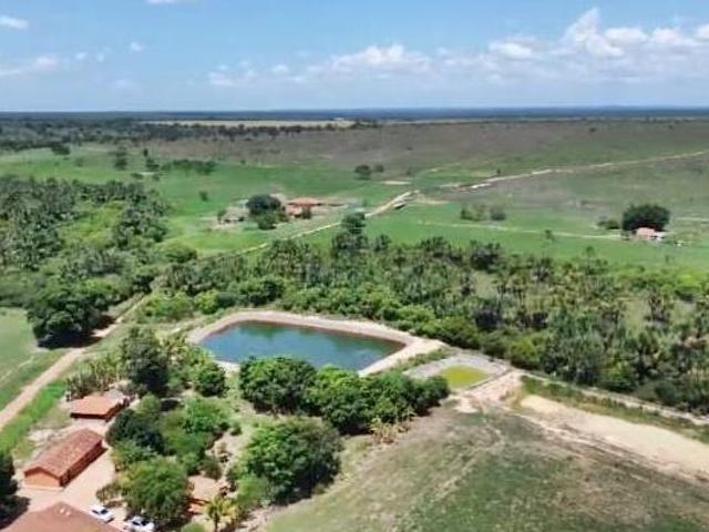 Sítio e chácara venda em Região Geográfica Imediata de Patos de Minas, João Pinheiro