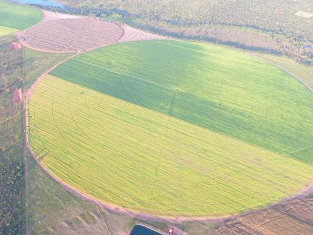 Sítio e chácara venda em Região Geográfica Imediata de Patos de Minas, João Pinheiro