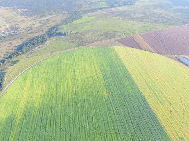 Sítio e chácara venda em Região Geográfica Imediata de Patos de Minas, João Pinheiro