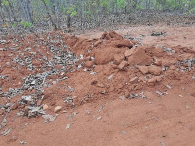 Sítio e chácara venda em Região Geográfica Imediata de Patos de Minas, Brasilândia de Minas