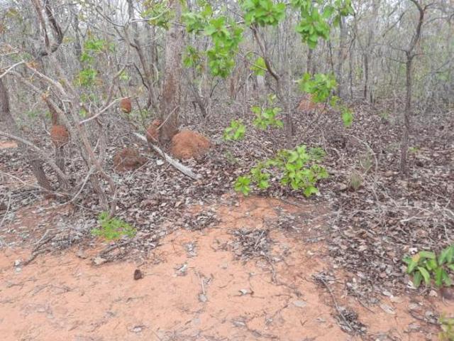 Sítio e chácara venda em Região Geográfica Imediata de Patos de Minas, Brasilândia de Minas
