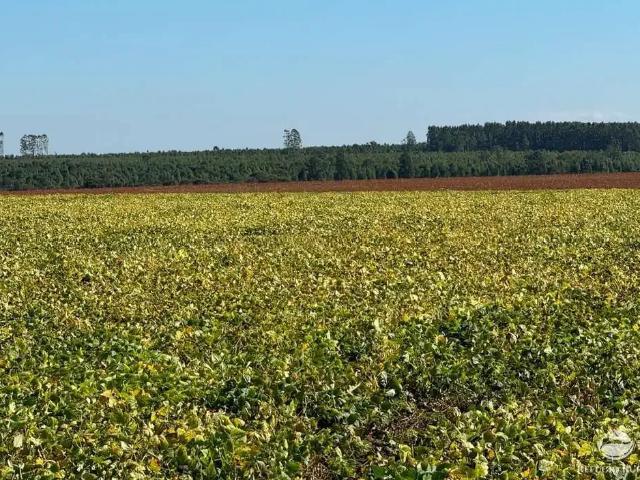 Fazenda venda em Região Geográfica Imediata de Governador Valadares, Governador Valadares
