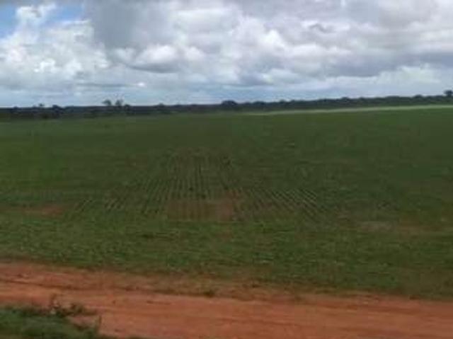 Fazenda venda em Região Geográfica Imediata de Patos de Minas, João Pinheiro