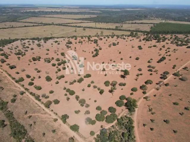 Fazenda venda em Região Geográfica Imediata de Patos de Minas, João Pinheiro