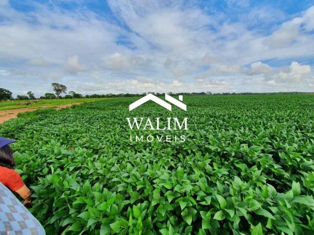 Fazenda venda em João Pinheiro, Região Geográfica Intermediária de Patos de Minas