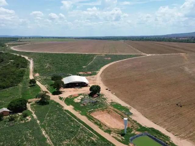 Fazenda venda em Região Geográfica Imediata de Patos de Minas, João Pinheiro