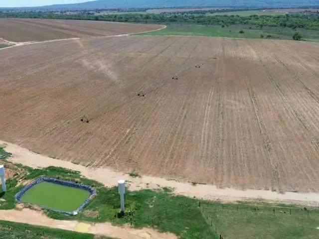 Fazenda venda em Região Geográfica Imediata de Patos de Minas, João Pinheiro