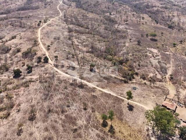 Fazenda venda em João Pinheiro, Região Geográfica Intermediária de Patos de Minas