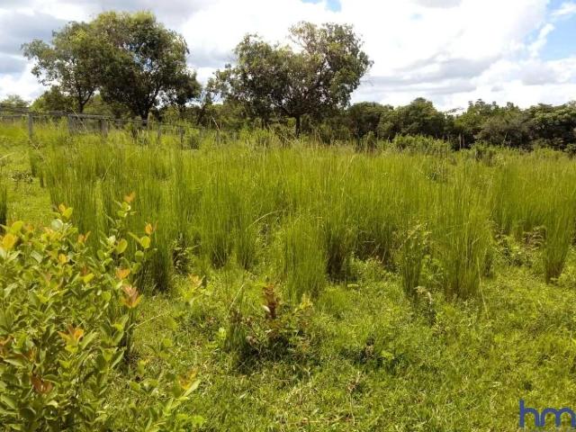 Fazenda venda em Região Geográfica Imediata de Patos de Minas, João Pinheiro