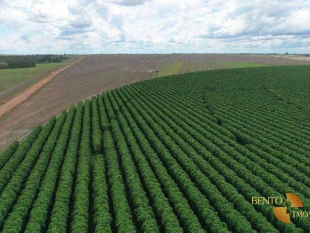 Fazenda venda em Região Geográfica Imediata de Patos de Minas, João Pinheiro