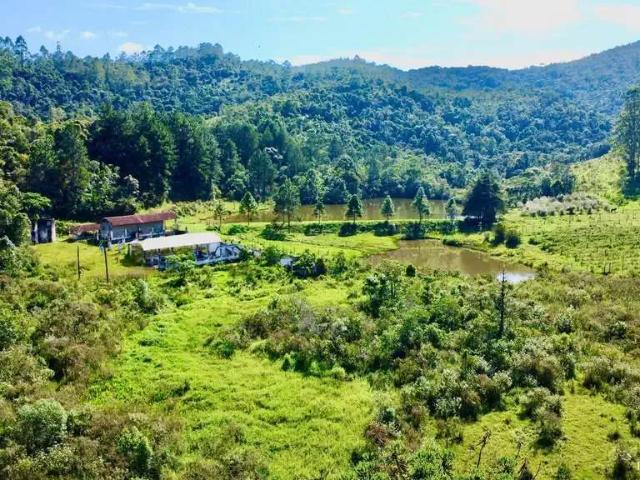 Fazenda venda em Região Imediata de Bragança Paulista, Joanópolis