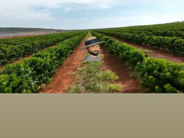 Fazenda venda em Região Geográfica Imediata de Montes Claros, Joaquim Felício