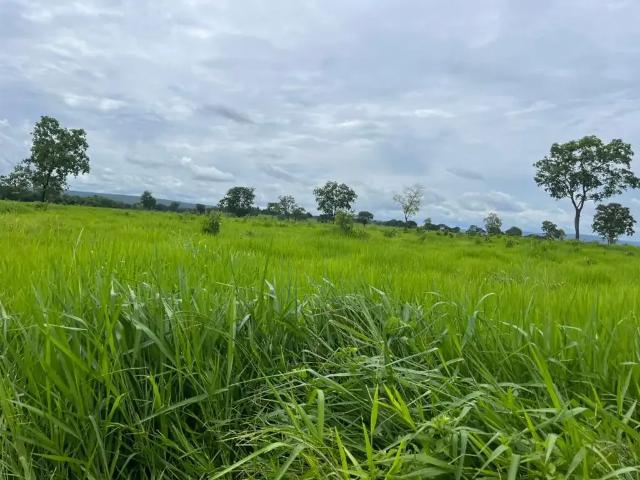 Fazenda venda em Região Geográfica Imediata de Montes Claros, Joaquim Felício