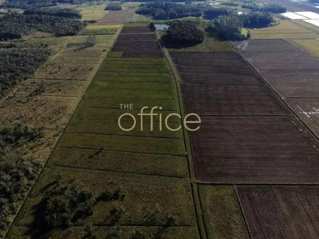 Fazenda venda em Região Geográfica Imediata de Joinville, Joinville