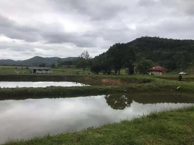 Fazenda venda em Região Geográfica Imediata de Joinville, Joinville