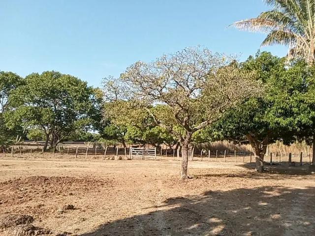 Fazenda venda em José de Freitas, Piauí